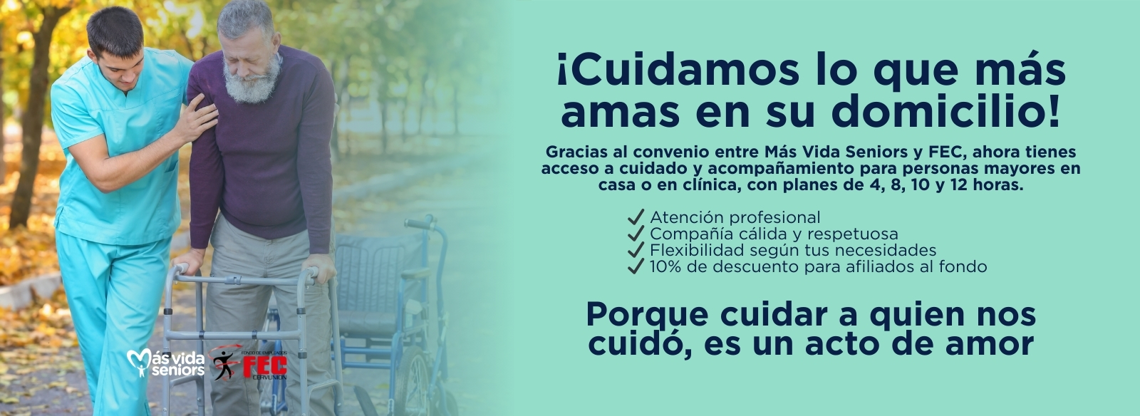web (2)
